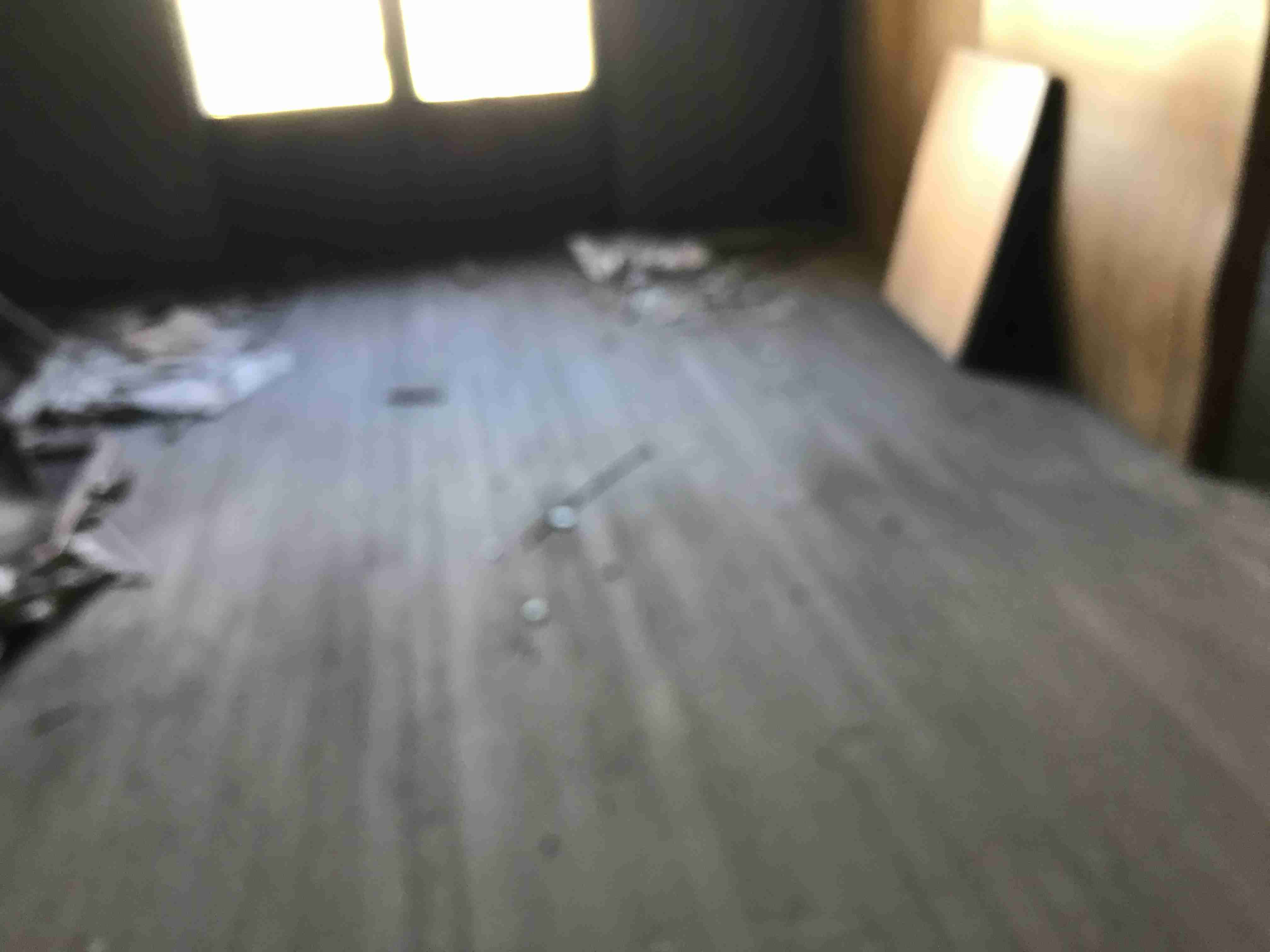 Photo Oct 13, 3 49 34 PM.jpg